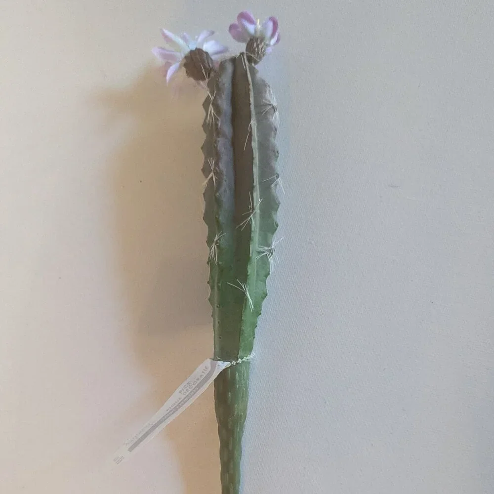 NWT Ashland 2 Spiky Mini Desert Cactus Flower Stems Faux Floral Decor Michaels